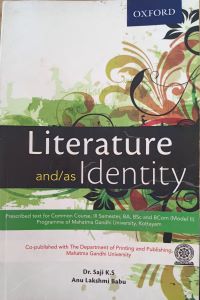 Sem 3: Literature and/as Identity - B