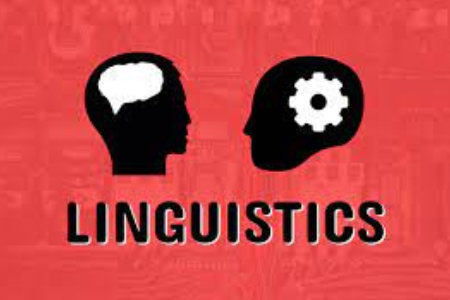 LANGUAGE AND LINGUISTICS